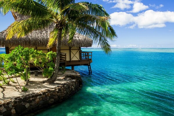 Ilha paradisíaca com casa e Palma