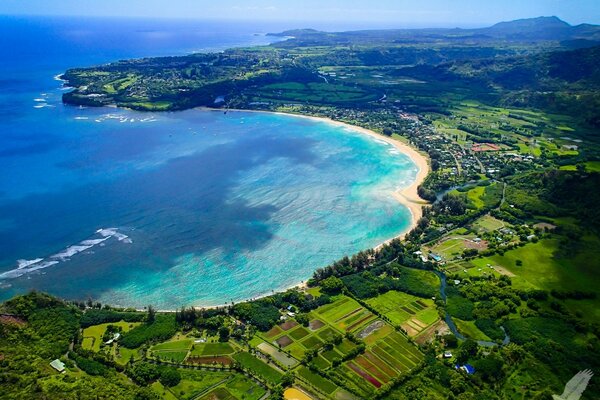 The coast with the settlement. Top view