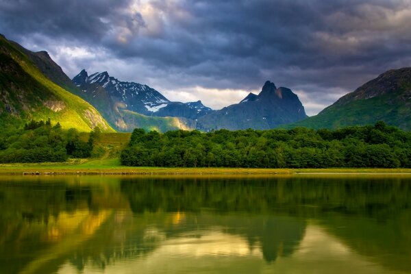 Paisaje forestal con lago y montañas