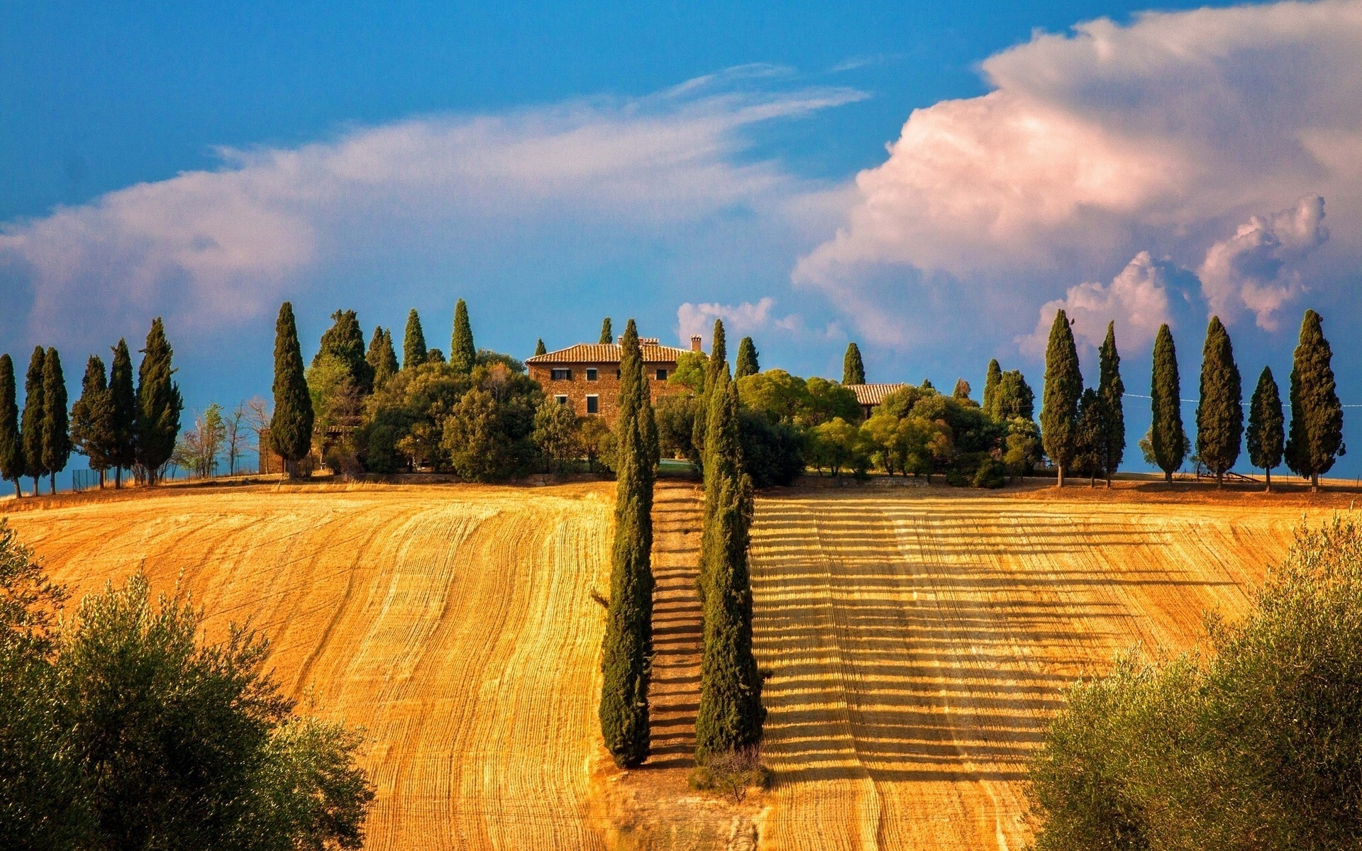 italie à l extérieur la nature ciel arbre voyage paysage campagne bois rural coucher de soleil automne été aube agriculture cyprès scénique lumière du jour beau temps soir toscane