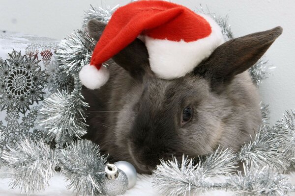 Śliczny szary królik w noworocznej czapce na tle srebrnych zabawek i girlandy