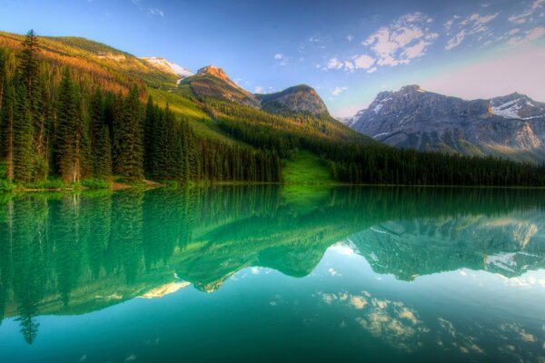 Montagnes et forêt reflétant dans le lac miroir