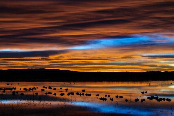 Tramonto serale sull acqua calma