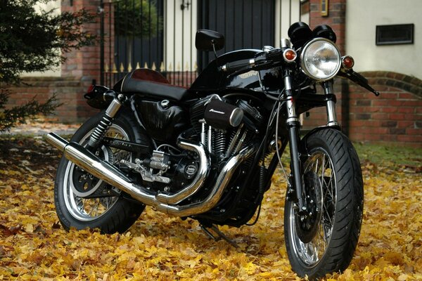 Moto noire cool sur le feuillage d automne