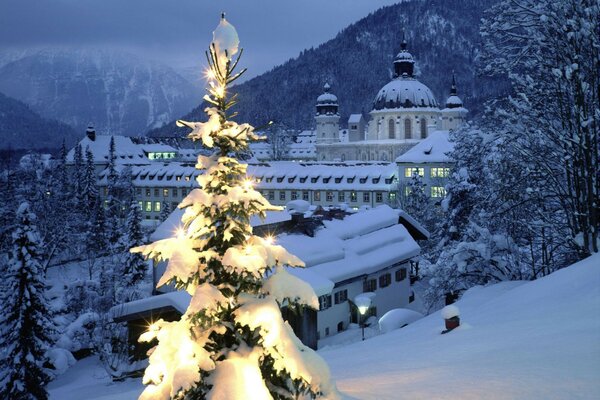 Árvore de Natal na neve