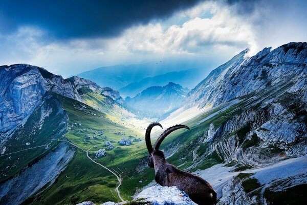 Tour del paesaggio di montagna in cima