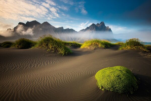 Brume brumeuse sur la côte de sable