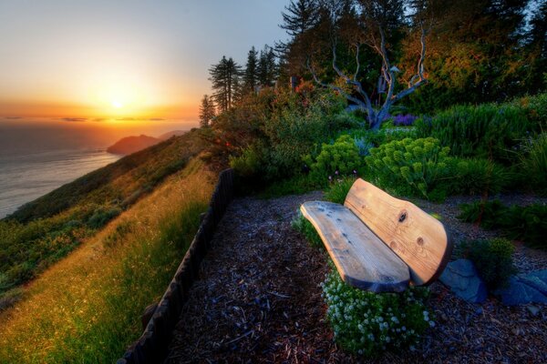 An unusual bench in an amazing garden