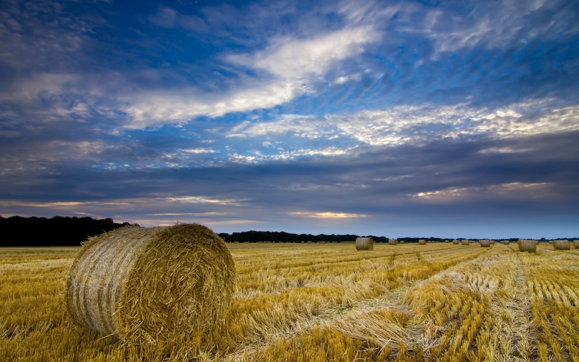 paesaggio grano agricoltura pascolo paesaggio paglia fattoria fieno rurale cereali cielo campagna campo raccolto terreno coltivato all aperto mais oro natura luce del giorno campo