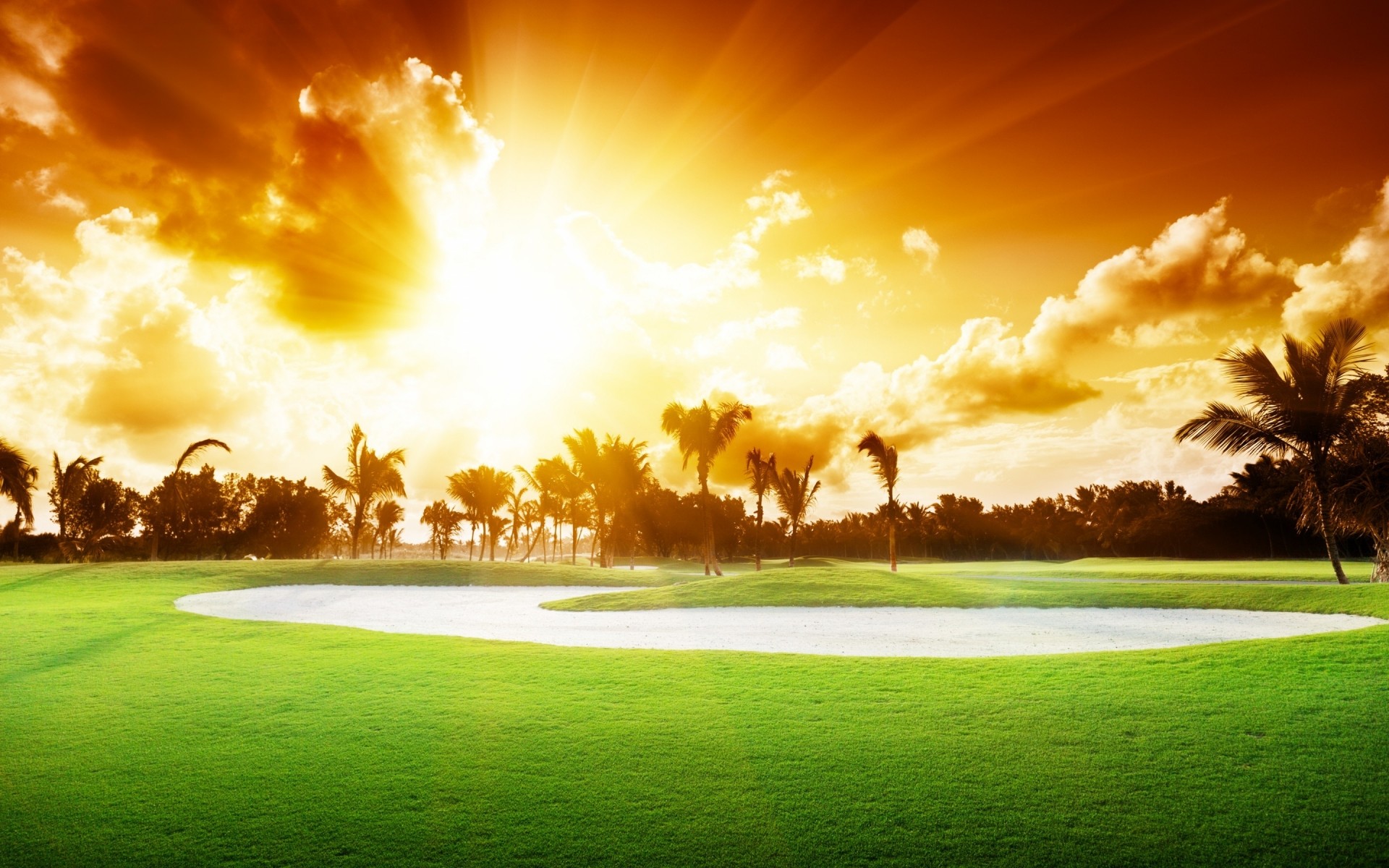 landschaft golf gras sonne landschaft natur sonnenuntergang dämmerung himmel baum sommer rasen gutes wetter heuhaufen wolke hell gold feld sonne palmen