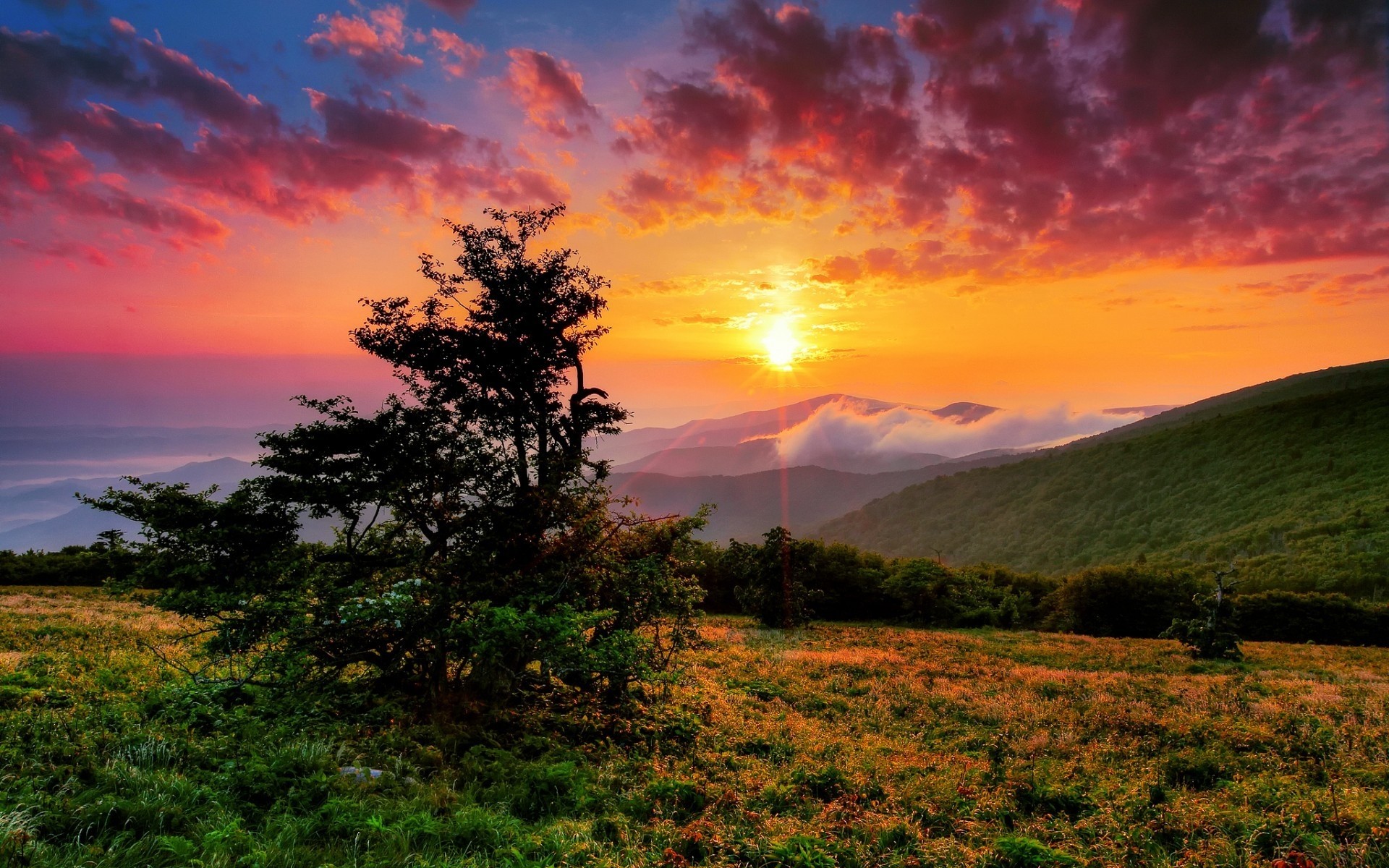 etats-unis coucher de soleil paysage nature aube soleil ciel soir arbre crépuscule beau temps été lumière à l extérieur nous