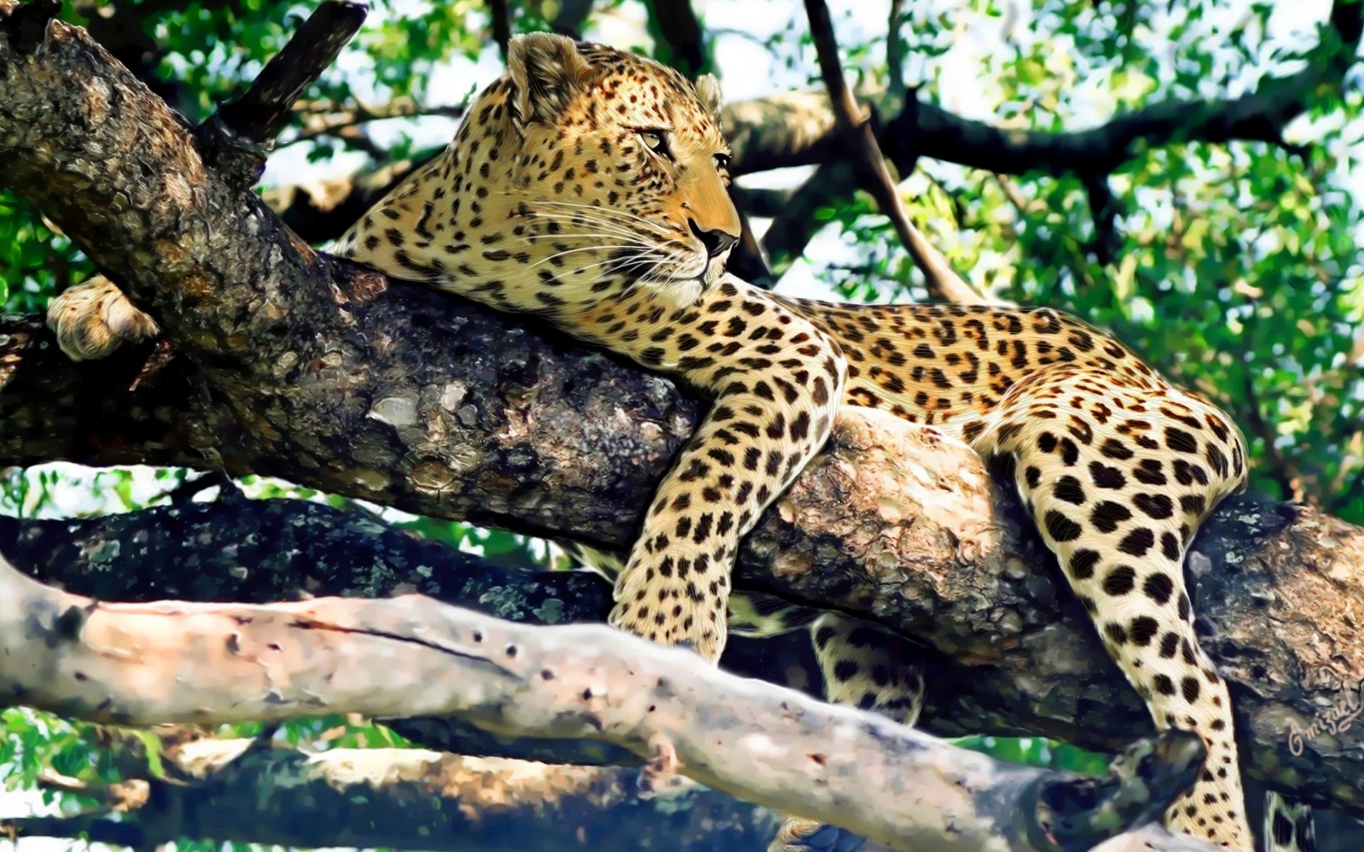 tiere natur tierwelt wild leopard katze säugetier im freien tier baum holz groß raubtier zoo porträt