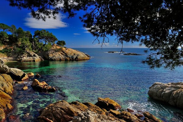 Crystal clear blue sea