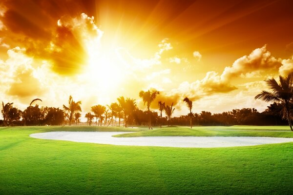 Morning landscape on the golf course