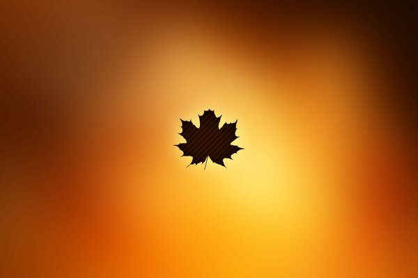 Une feuille d érable ferme le soleil