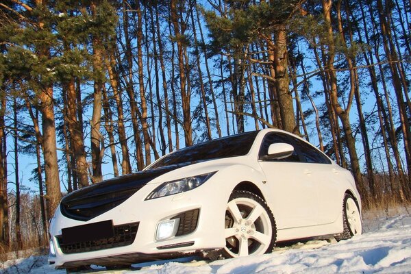 Nieve Mazda 6 árboles