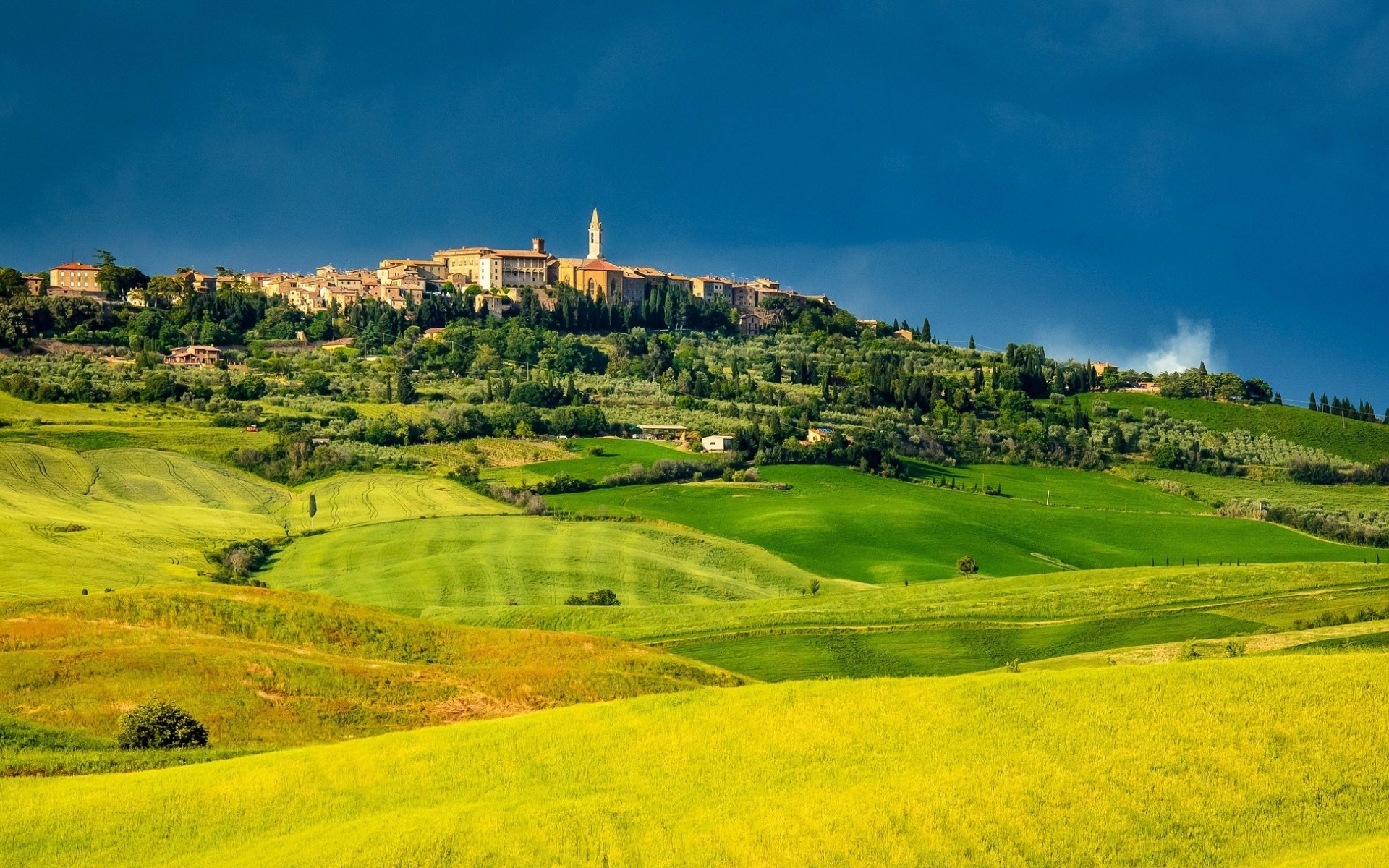 italia paesaggio agricoltura natura campagna rurale terreni coltivati all aperto cielo erba estate campo scenico albero collina idillio pascolo viaggi azienda agricola luce del giorno pienza toscana colline