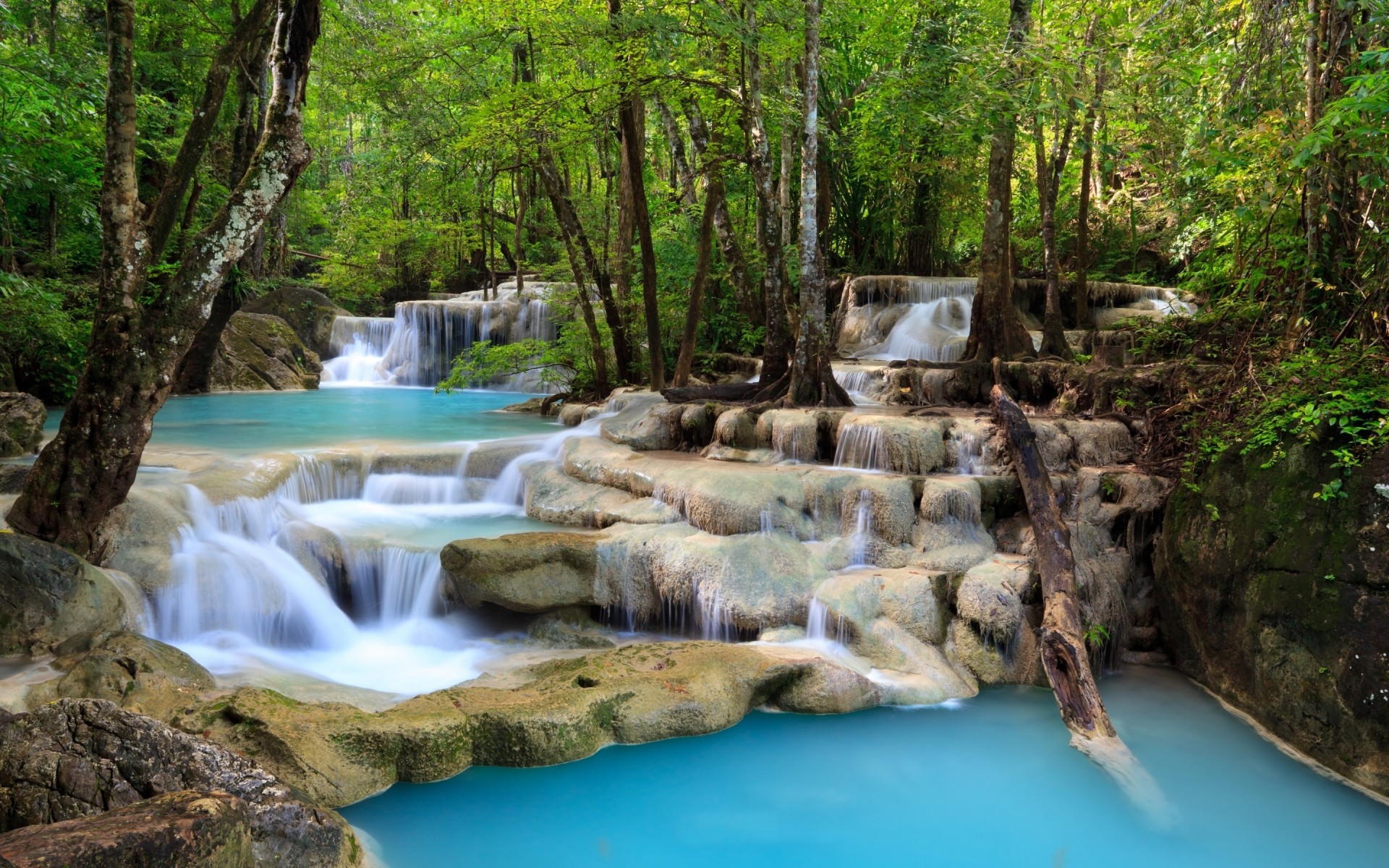 paesaggio acqua legno cascata natura flusso fiume creek viaggi foglia cascata roccia selvaggio paesaggio flusso albero all aperto ambiente traffico estate foresta