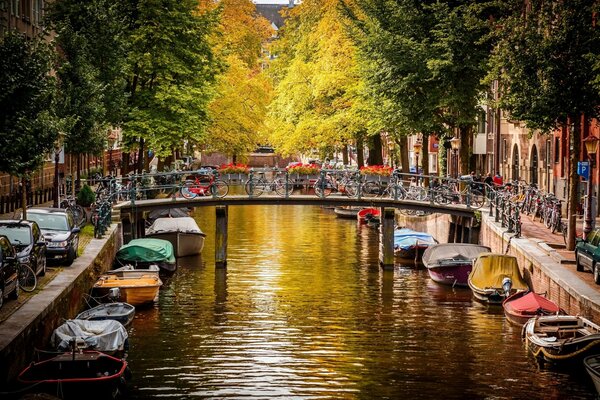 Canale d acqua nel mezzo della città