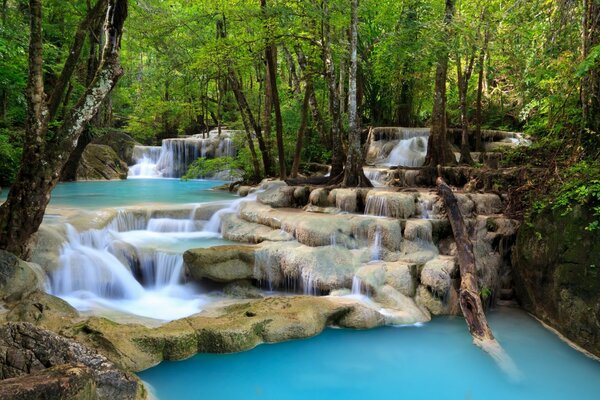 Forest waterfall with a stepped structure