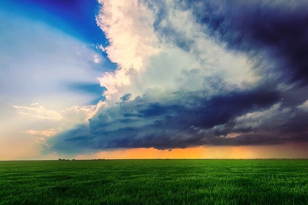 Im ländlichen Feld Natur und Gras