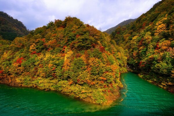 Voyage à travers les paysages naturels