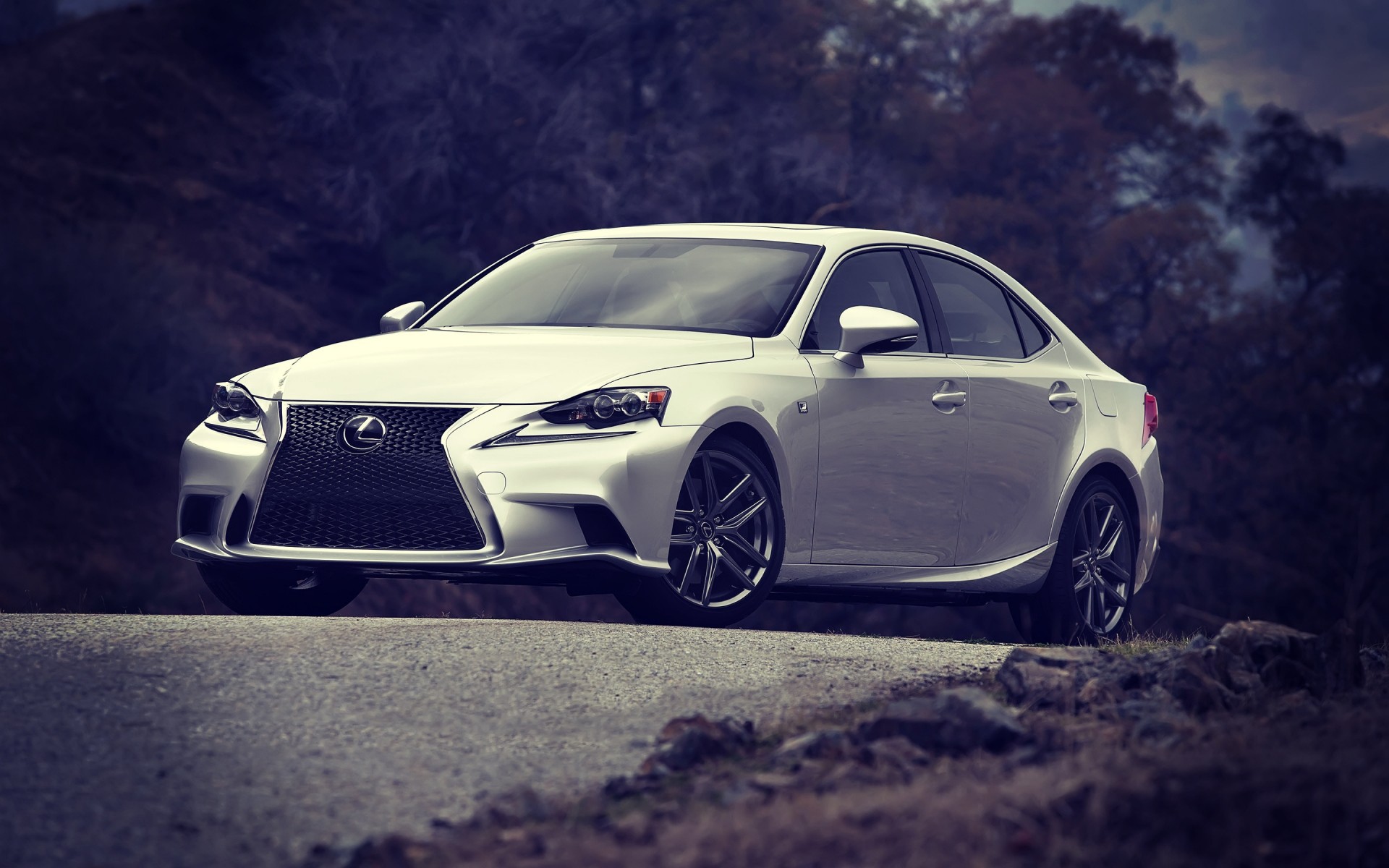 lexus auto auto nigella automobile fretta marciapiede ruote mezzogiorno asfalto sistema di trasporto veloce coupé unità lexus