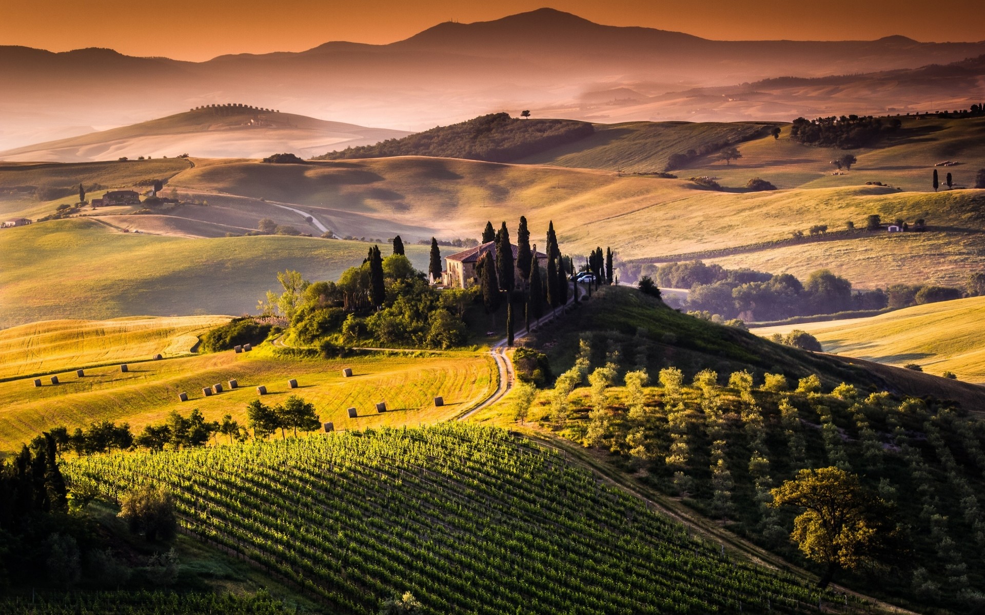 italien landwirtschaft weinberg bebautes land landschaft reisen im freien rebe hügel tal sonnenuntergang landschaft natur himmel bauernhof landschaftlich ländlich feld baum abend toskana toskana