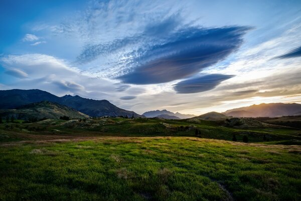 Cool green landscape