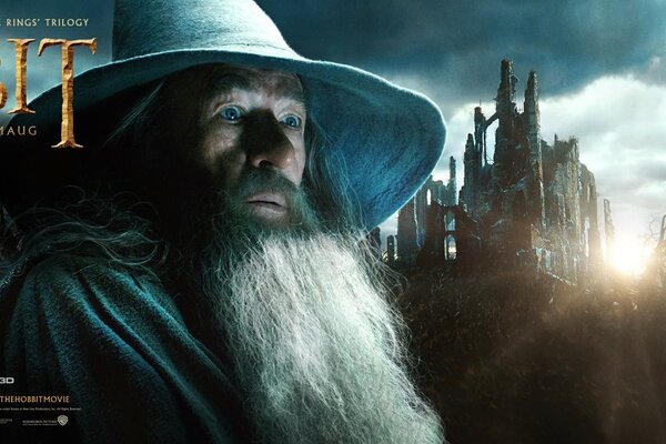 A wizard in a hat with a gray beard