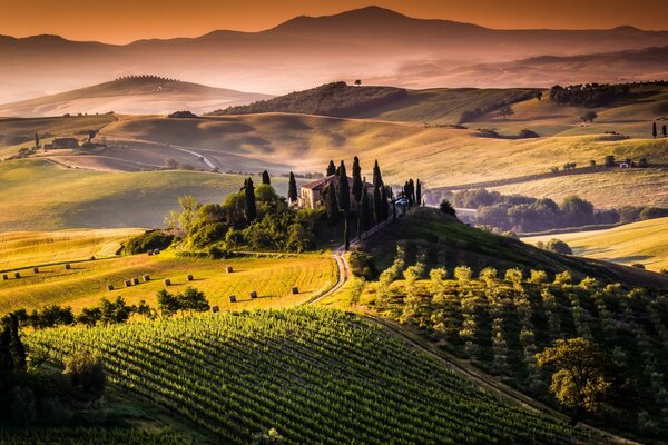 Paesaggio di un accogliente tenuta italiana circondata da vigneti