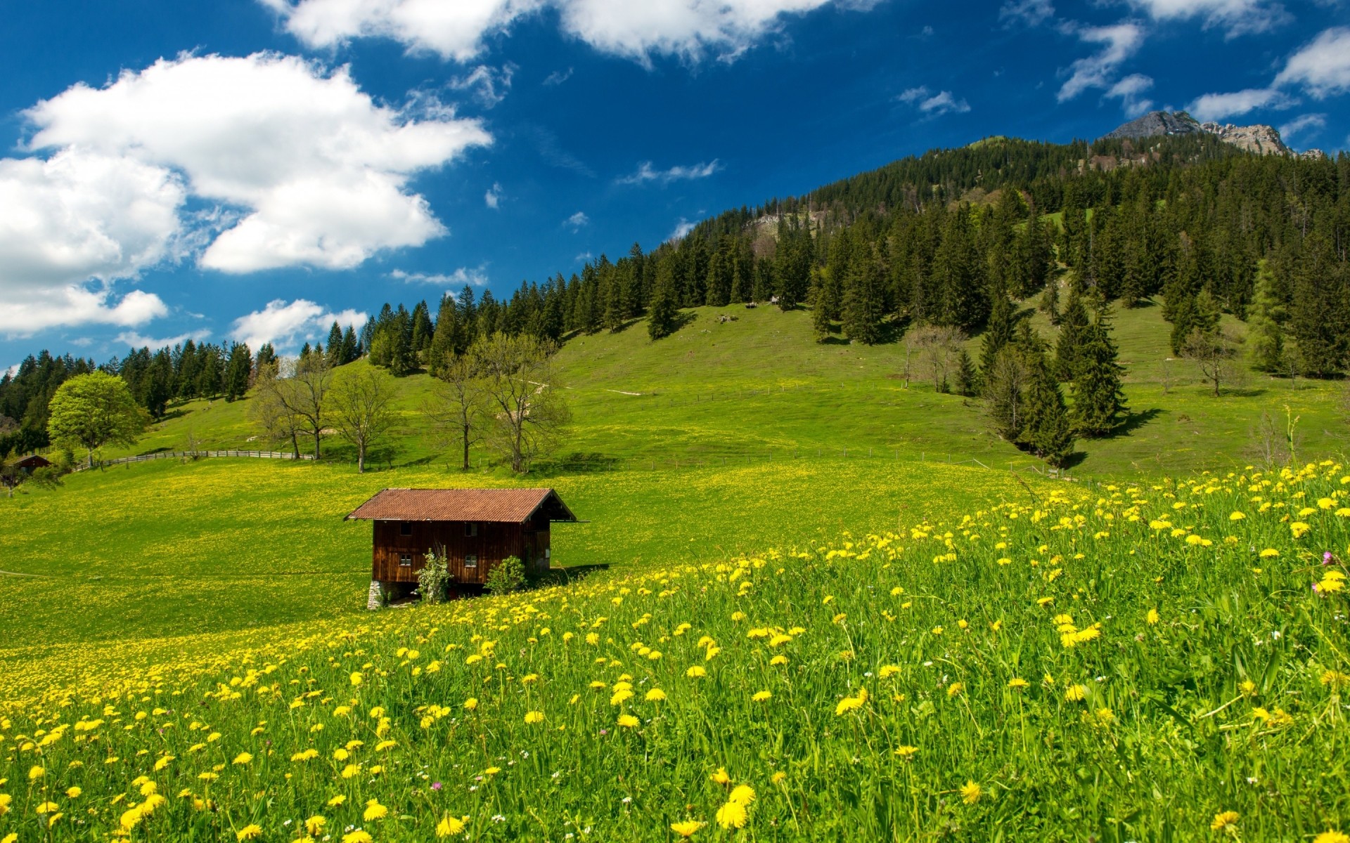 alemania paisaje heno naturaleza montañas hierba verano madera escénico campo al aire libre rural cielo árbol pastizales país espectáculo pasto idilio viajes montañas colinas