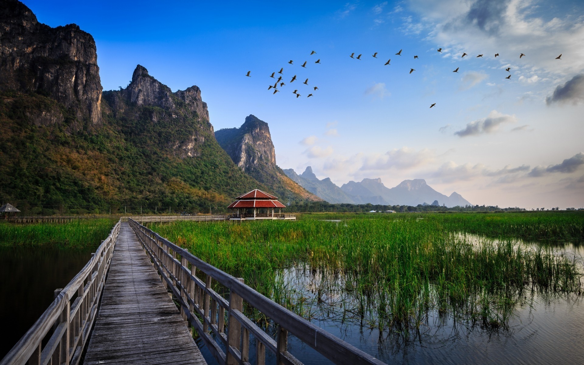 风景 水 湖 倒影 旅游 山 自然 木材 户外 景观 天空 河 风景 山