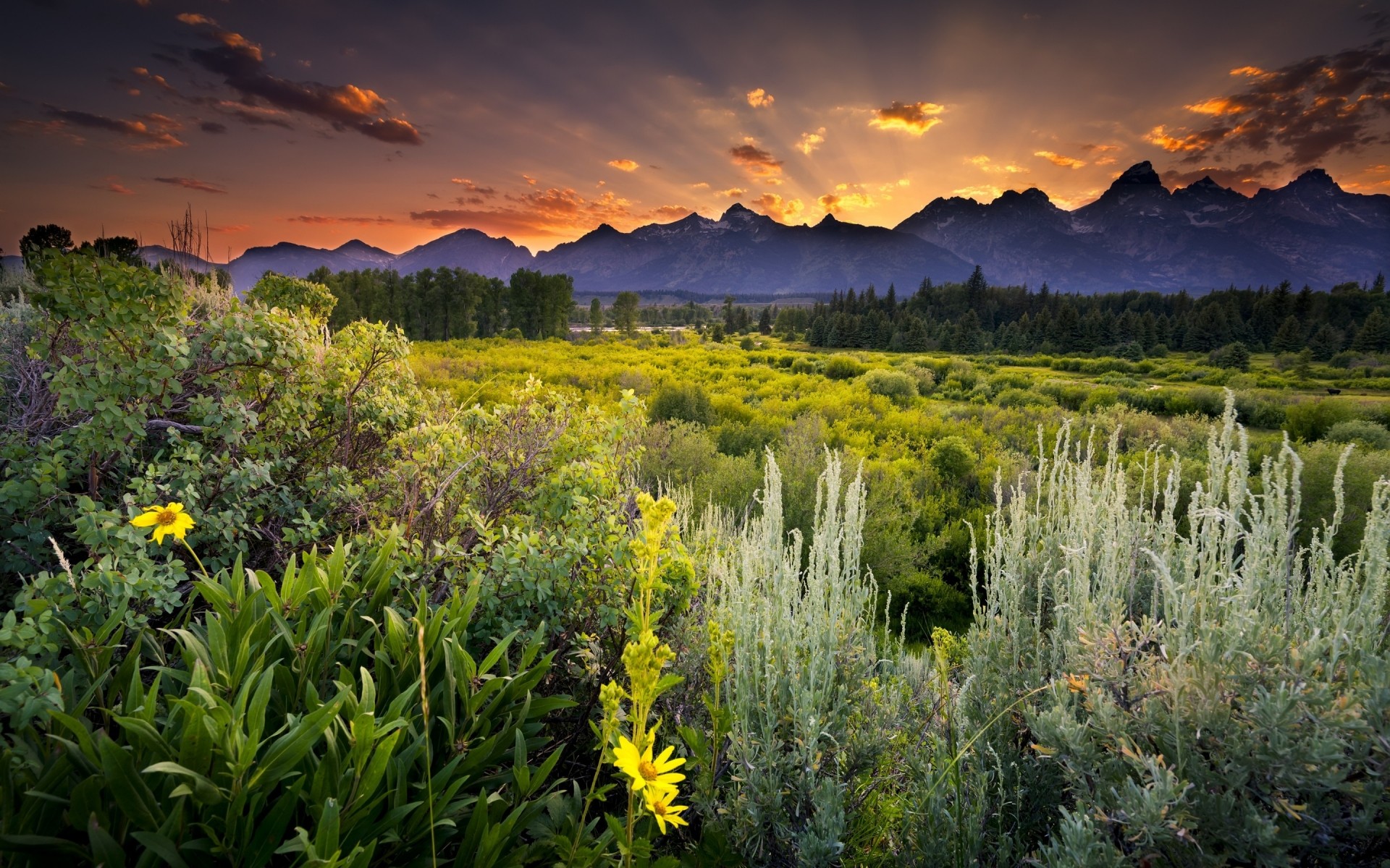 landschaft landschaft natur himmel landschaftlich im freien sommer baum berge feld landschaft blume land reisen des ländlichen wolke bäume wald sonnenuntergang