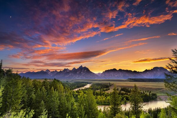 Hermoso paisaje con bosque y montañas