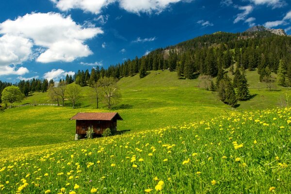 Natur des Bergdeutschen auf dem Heuhaufen