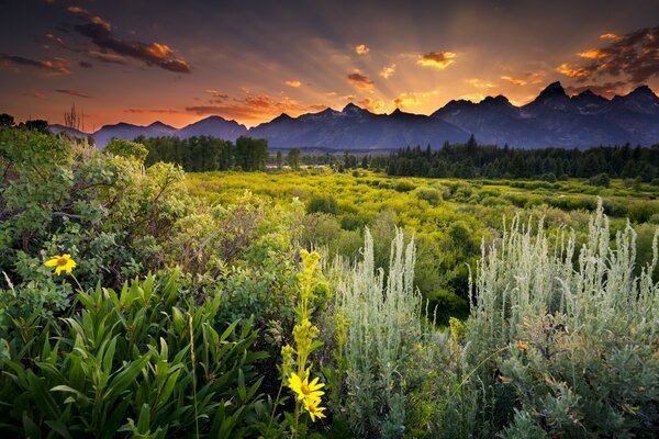 Paisaje pintoresco puesta de sol en la naturaleza