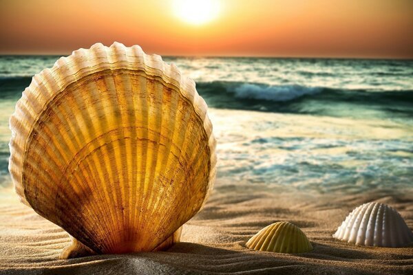 Sonnenuntergang am Strand, Meerblick