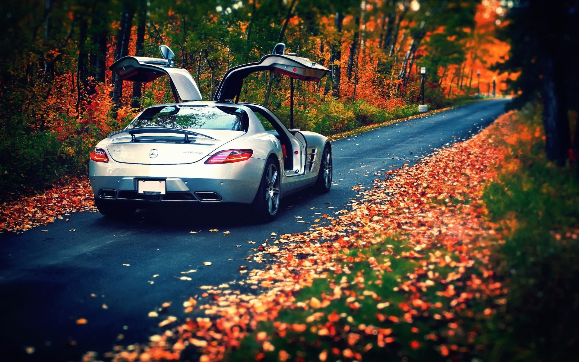 mercedes-benz car vehicle transportation system outdoors road travel nature blur fall tree mercedes sls