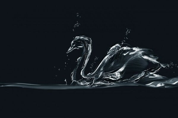 A splash of water like a silhouette of a swan