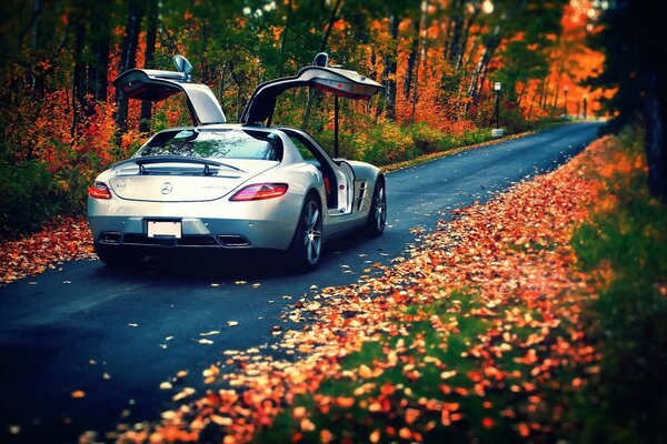 Mercedes Benz on the autumn road strewn with foliage