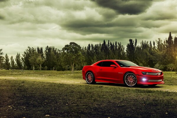 3d graphics , red car on a forest background