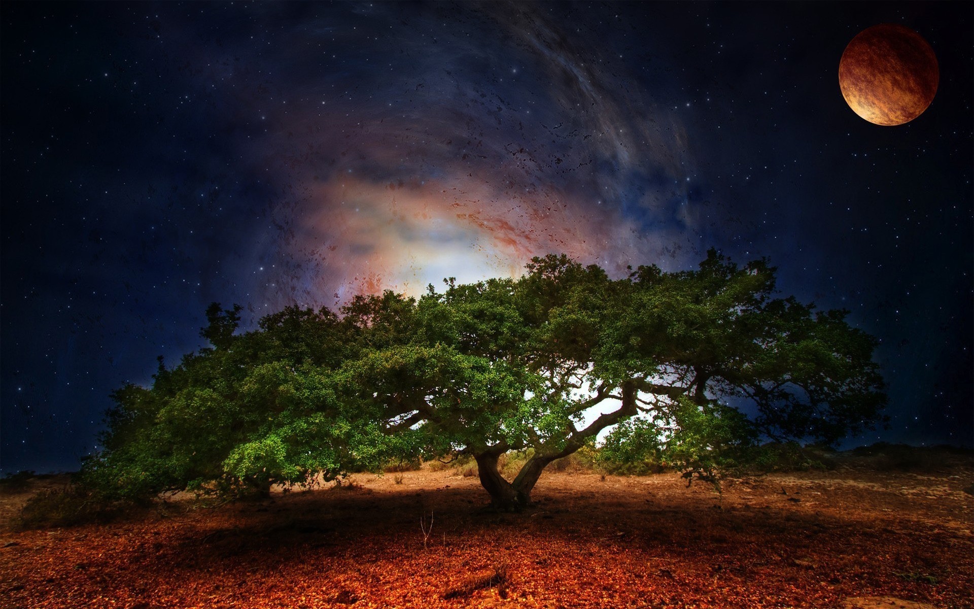 plantes lune ciel astronomie soleil soir nature arbre paysage coucher de soleil crépuscule aube planètes espace dehors voyage lumière galaxie beau temps sombre fond