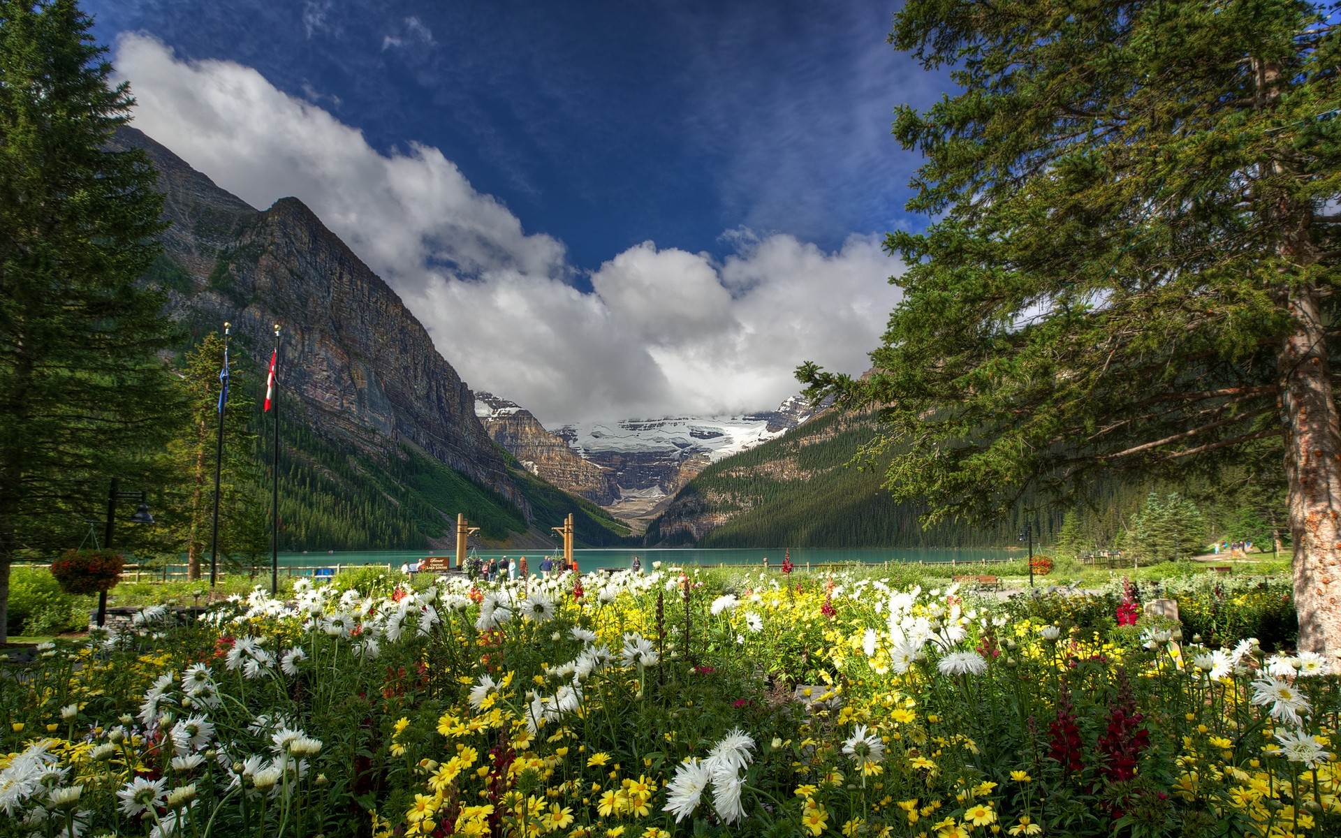 andere städte natur im freien berge landschaft reisen blume sommer landschaftlich holz gras himmel baum tageslicht kanada landschaft hintergrund lake louise