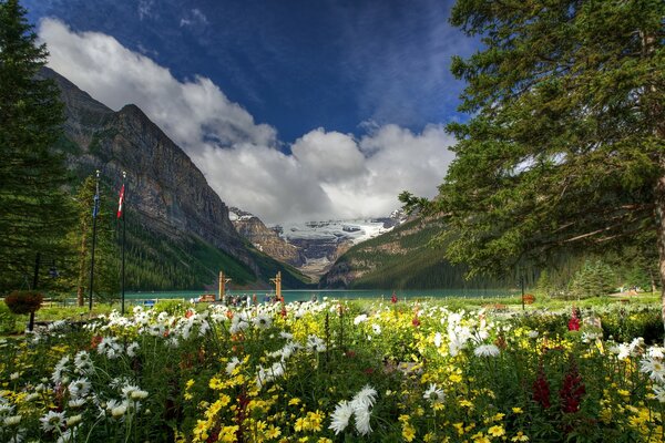 Lejos de la ciudad, un paisaje elegante