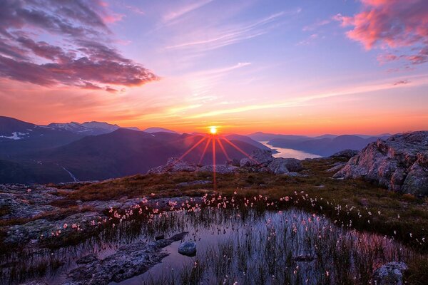 Paisaje de montaña flores al atardecer