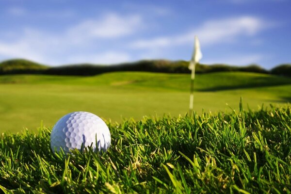 Yeşil çimenlerin üzerinde golf topu