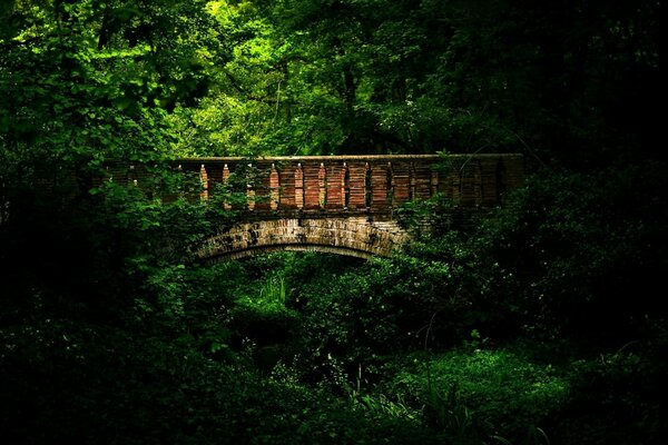 Un viejo puente cubierto en el bosque