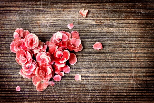 Fleurs rouges sur une table en bois