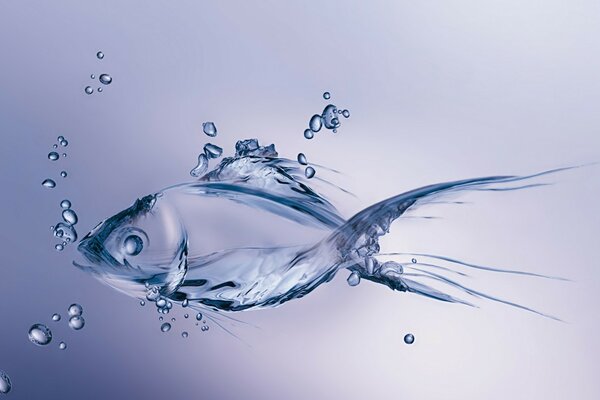 Poisson transparent dans l eau avec des bulles